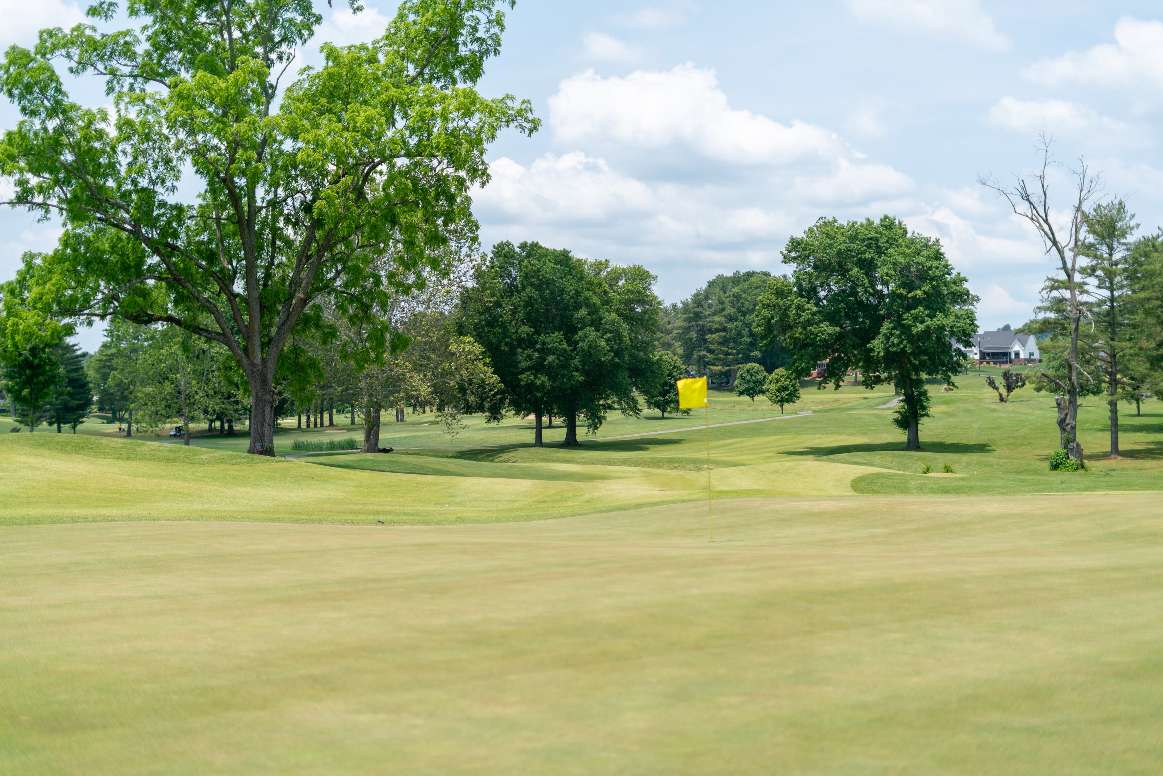 2nd Stableford Shootout